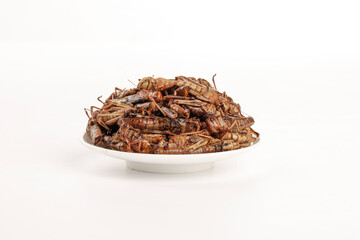 Fresh Cooked Grasshoppers Traditional Shandong Cuisine Insects on White Plate Food Display