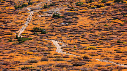 Hiking trail in Geneva basin landscape in Colorado at Guanella Pass during autumn time.