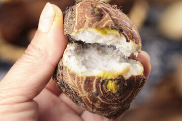 Small Taro Root Cut in Half Showing White Flesh - Fresh Organic Vegetable from Shandong China