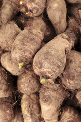 Fresh Taro Root Vegetables from Shandong China - Organic Small Farm Produce with Natural Brown Skin and Green Shoots