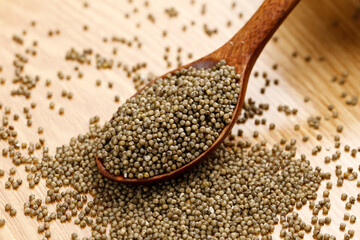 Organic Millet Grains from Shanxi Highland in Wooden Spoon - Healthy Whole Grain Cereal for Natural Nutrition and Cooking