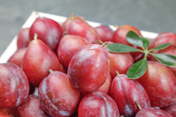 Fresh Red Plums with Leaves in White Container - Ripe Stone Fruit Display