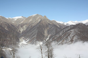 snow covered mountains
