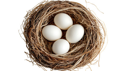 Bird nest with four eggs isolated on transparent background