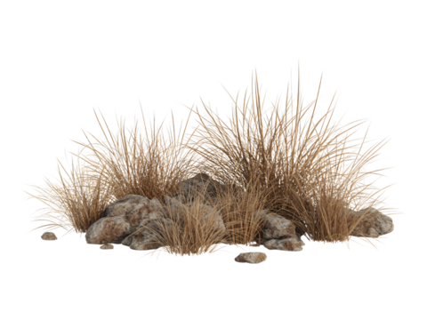 A natural cluster of dry, light brown grasses interspersed with various sizes of weathered grey rocks is presented against a stark white background.