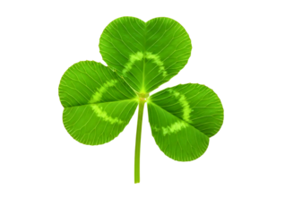 Green shamrock leaf isolated on transparent background