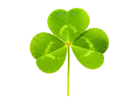 Green shamrock leaf isolated on transparent background - Powered by Adobe