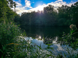 Fototapete bei efototapeten.de bestellen   