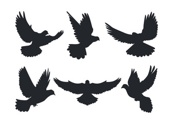 Silhouette of Flying Dove Peace Bird Illustration Design 
