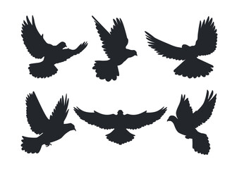Silhouette of Flying Dove Peace Bird Illustration Design 