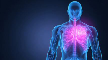 Pain Points Human Body Map With Highlighted Chest