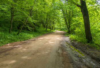 Fototapeta premium a mountain river and the surrounding area with woodlands and clearings with paths