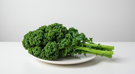 Fresh Curly Kale Bunch on White Plate for Culinary Still Life