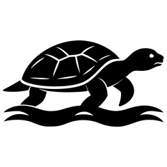 vector illustration of turtle