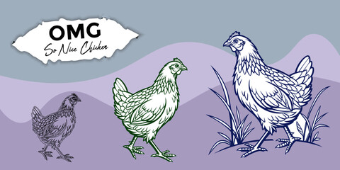 Set of Chicken with silhouettes vector