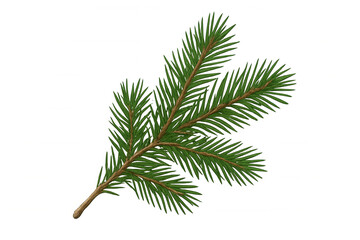 Naklejka premium Green fir tree branch illustration, symbolizing christmas, winter season, nature, evergreen plant, forest element