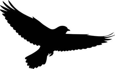 Powerful hawk silhouette soaring majestically with wings outstretched in dynamic flight, symbolizing freedom and strength
