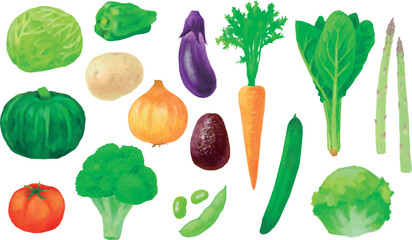 手描きの水彩風野菜イラストセット