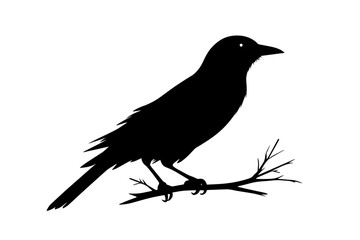 bird silhouette realistic black bird perched on branch