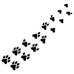 Black Paw Prints