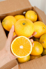 Fresh Jianyang Fujian Pomelo and Orange Citrus Fruits in Box - Hand Holding Sweet Tangerine for Appreciation
