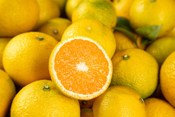 Fresh Orange Citrus Fruits Cut in Half Showing Juicy Pulp - Healthy Vitamin C Food