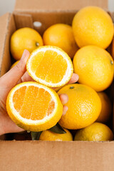 Fresh Oranges in Box - Hand Holding Sliced Citrus Fruit from Fujian Ganzhou Region