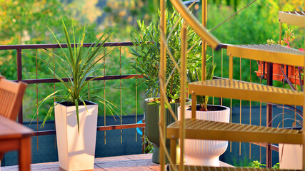 Steel spiral gold staircase on the terrace with plants and plants in pots background.