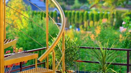 Steel spiral gold staircase on the terrace with plants and plants in pots background.