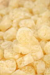 Fresh Lotus Root Slices with Natural Net Pattern for Asian Cooking and Healthy Vegetables