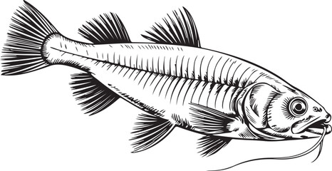 Vintage Fish engraving outline vector art illustration design, Fish silhouette, hand drawn, line art fish design
