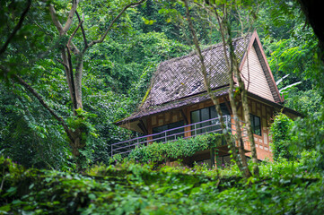 Scenic House in Lush Green Forest Near Nang Rong Waterfall, Thailand