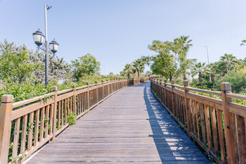 A scenic wooden walkway with railings curves through a lush, green park under a clear blue sky, flanked by palm trees and vintage-style street lamps.