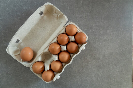brown eggs in a carton on gray background - Powered by Adobe