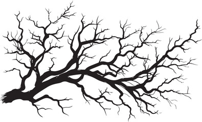 Fototapeta premium Leafless Tree Silhouette Pack