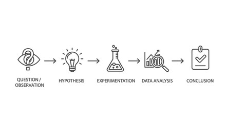 A linear graphic depicting the scientific method steps, from question to conclusion.
