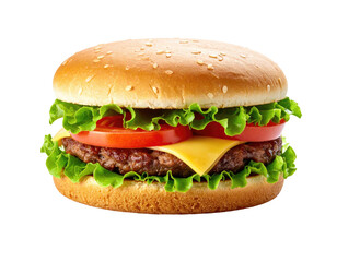 Close-up of a classic cheeseburger (6)