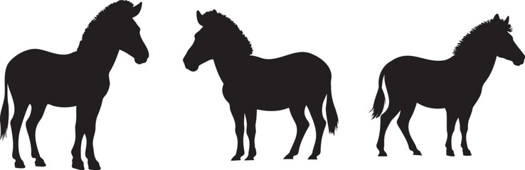 Silhouette set of zebras in standing poses, isolated on white background, symbolizing African wildlife, safari animals, and nature design elements.