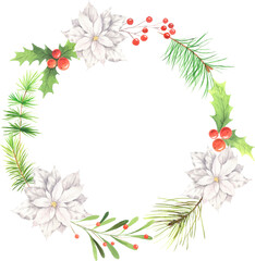 Fototapeta premium Watercolor Classic Christmas frame with winter poinsettia flowers, cranberries, leaves and coniferous branch isolated