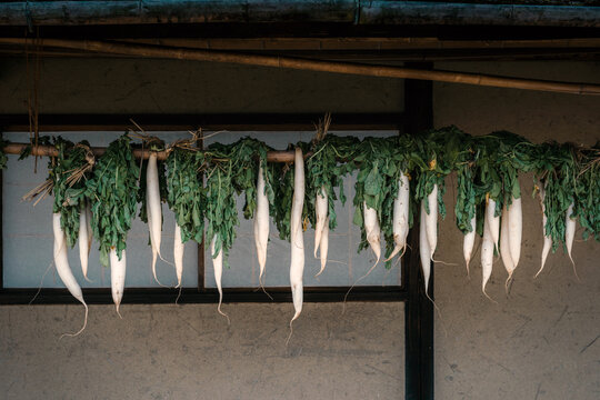 天日干し大根」の写真素材 | 531件の無料イラスト画像 | Adobe Stock