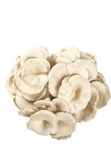 Fresh White Shirataki Mushrooms on White Background