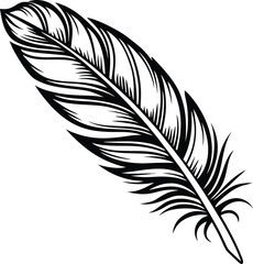 Obraz premium Vector art of a detailed black and white illustration of a single feather, isolated on a