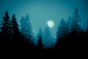 Halloween foggy background. Spruce forest. Night mysterious scene in cold tones - silhouettes of the spruce trees under the full moon and dramatic night sky.