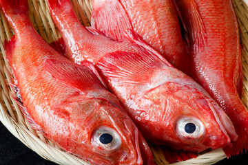 キチジ（キンキ）