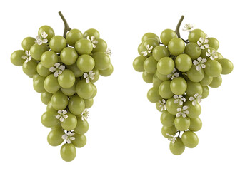 Illustration of two bunches of green grapes with small white flowers, isolated on transparent background on transparent background