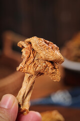 Dried Gourmet Mushroom Held in Hand - Premium Culinary Ingredient Food Photography