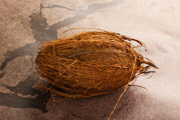 Natural exotic brown hairy coconut