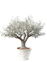 Obraz premium Olive Tree (Olea europaea) Iconic Mediterranean tree with silvery, lance-shaped leaves and small, fragrant flowers that yield olives. Olive trees
