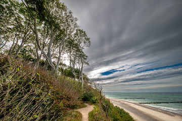 Der geheimnisvolle Gespensterwald bei Rostock Nienhagen an der Ostseek&uuml;ste