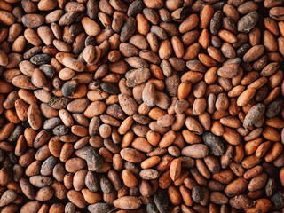 coffee beans background